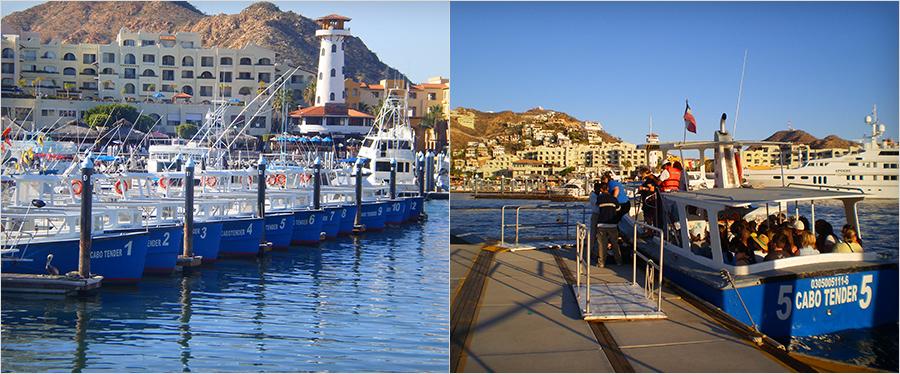 Cabo Tenders gallery