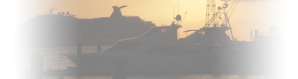 Ships in Cabo San Lucas harbor at sunset
